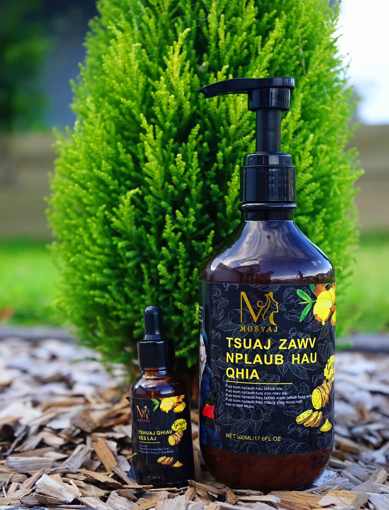 Ginger Shampoo + Serum